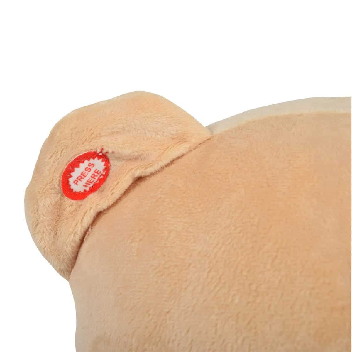 Κουνιστό Λούτρινο Bear Cangaroo Pink WJ635 - Image 3