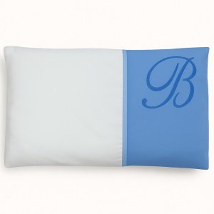 Μαξιλάρι με Μαξιλαροθήκη Blue Car Beboulino