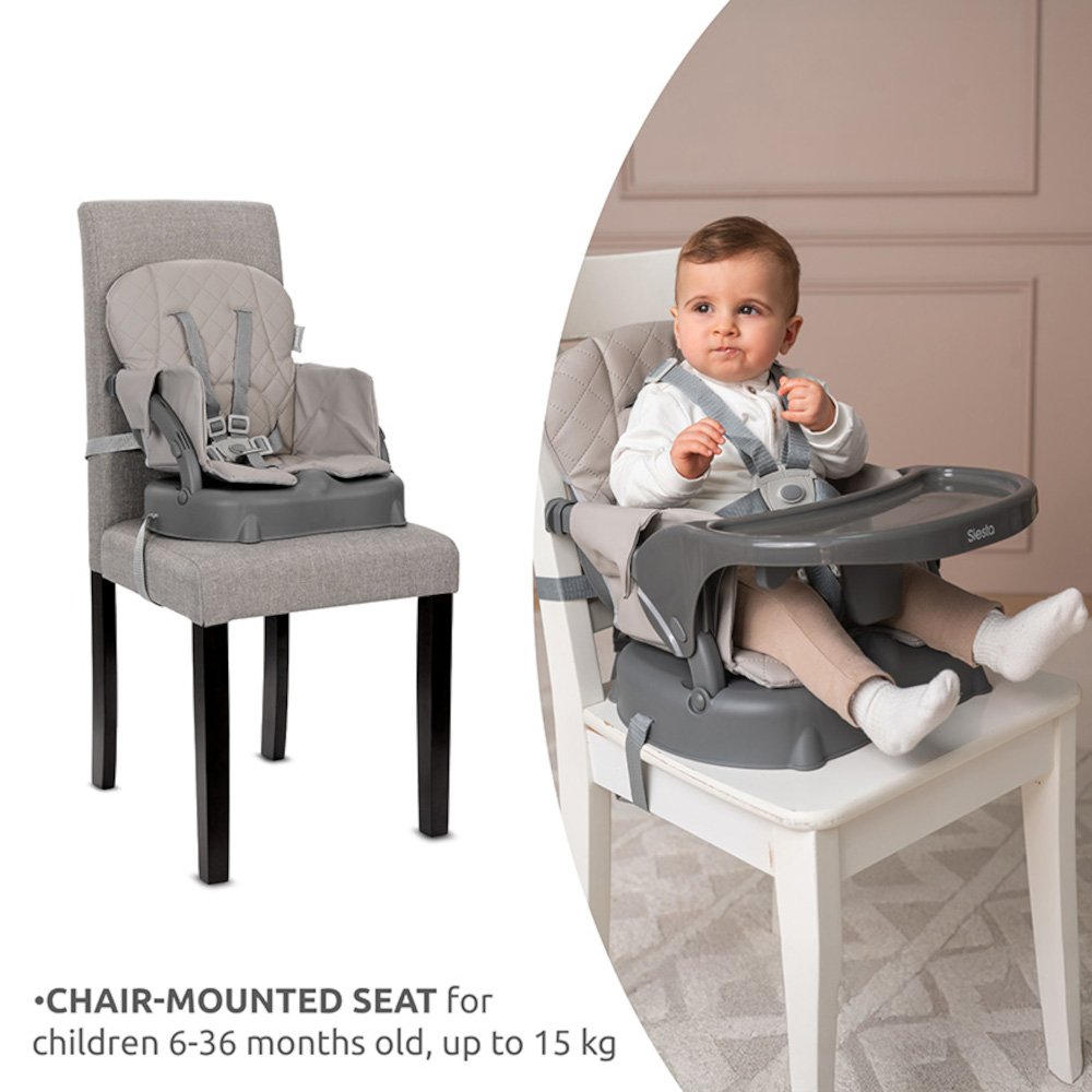 Καρεκλάκι Φαγητού 3σε1 Siesta Lorelli Grey Leather - Image 4