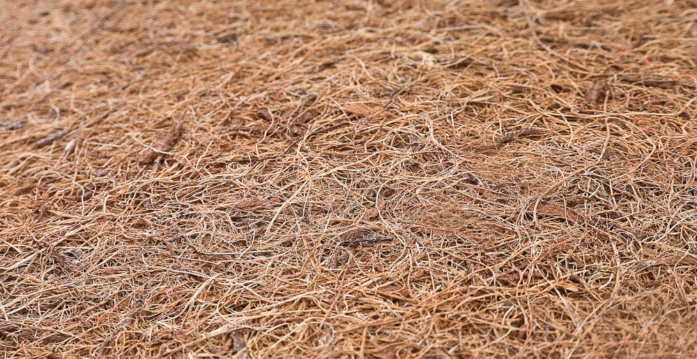 Στρώμα Κούνιας Φαγόπυρο Coco Αφρός 60x120x7cm Sensillo - Image 5